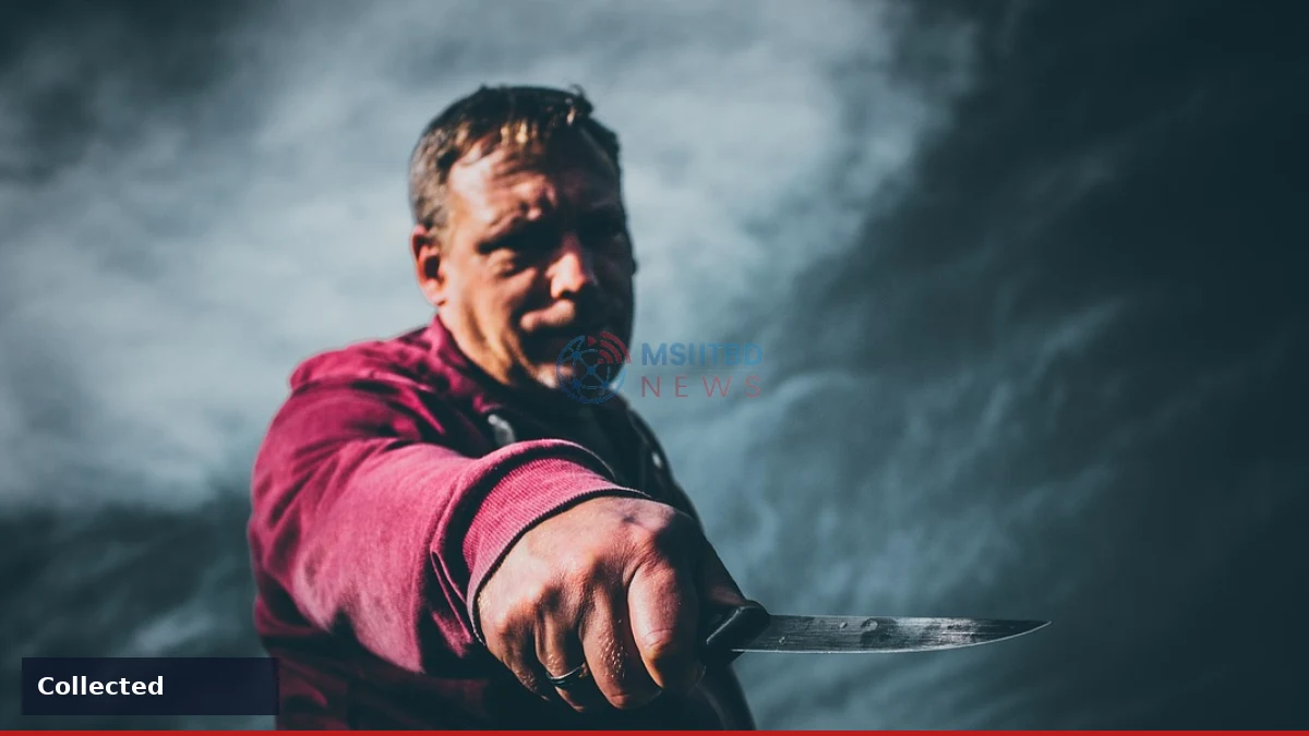 News image related to Kansas man accused in series of violent crimes using a knife