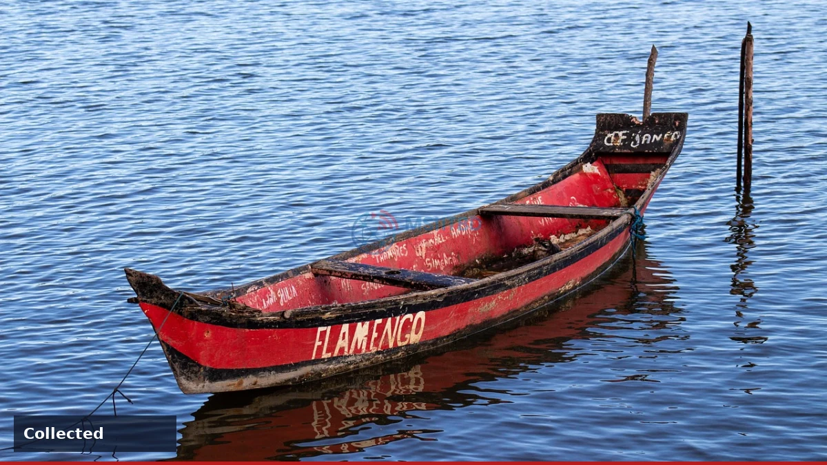 News image related to Organizadas do Flamengo adotam nova posição contra o Estudiantes | Flamengo | O Dia