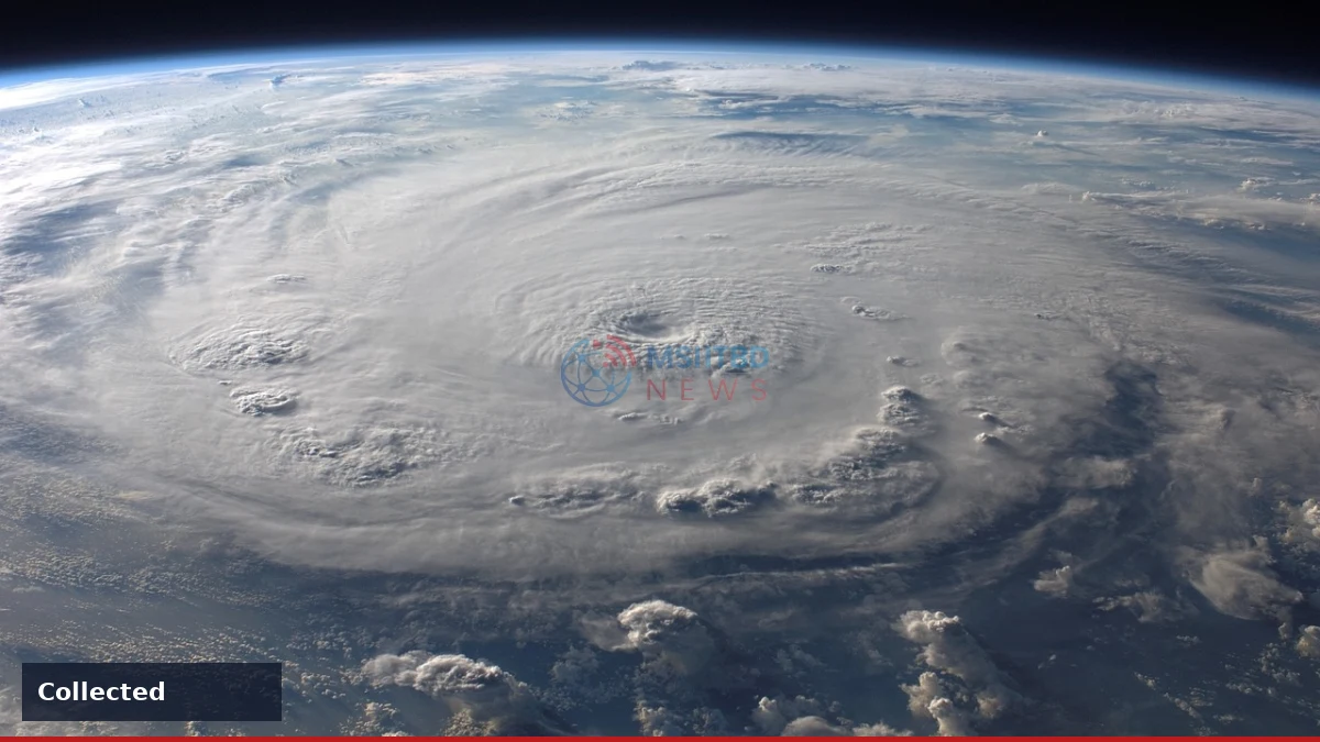 World Series Game 3 Returns to Tampa’s Repaired Tropicana Field After Hurricane Milton - accompanying story image