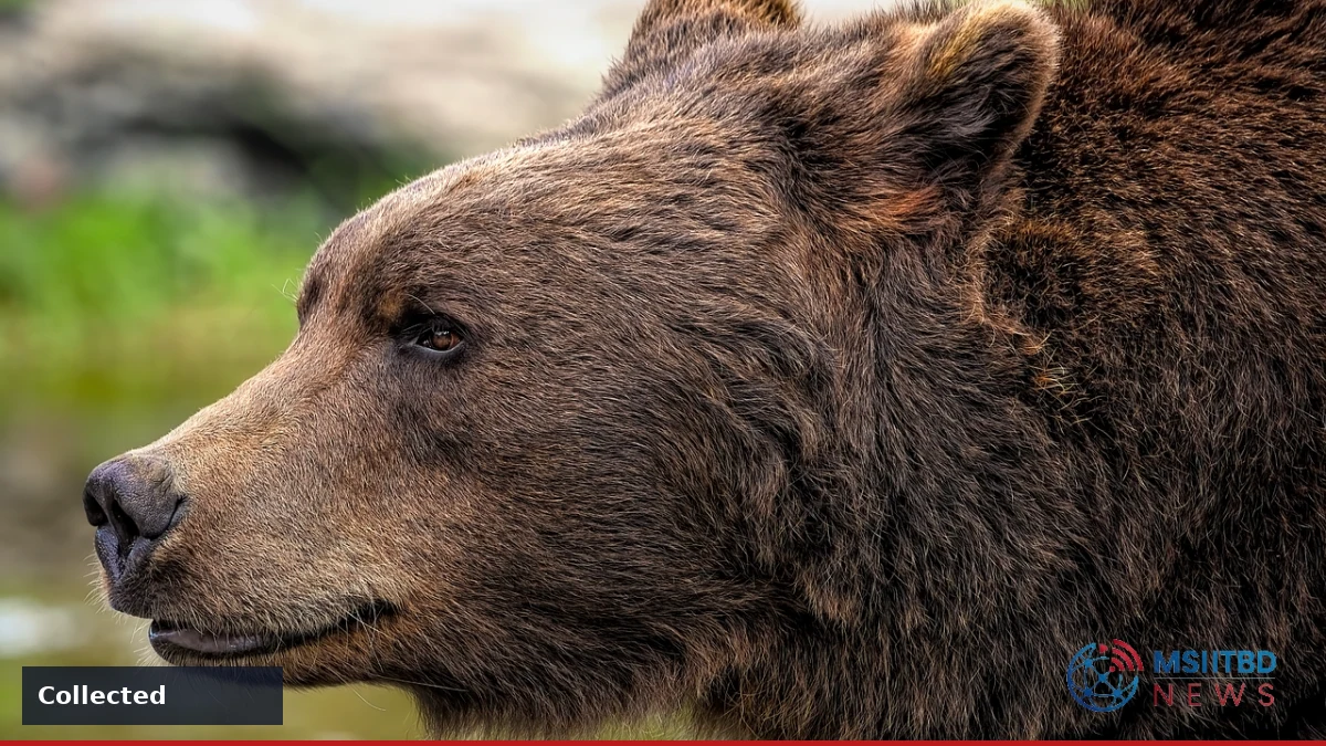 Bear Put Spread on QQQ Gains Attention as Tech Index Slides 5.5% - accompanying story image