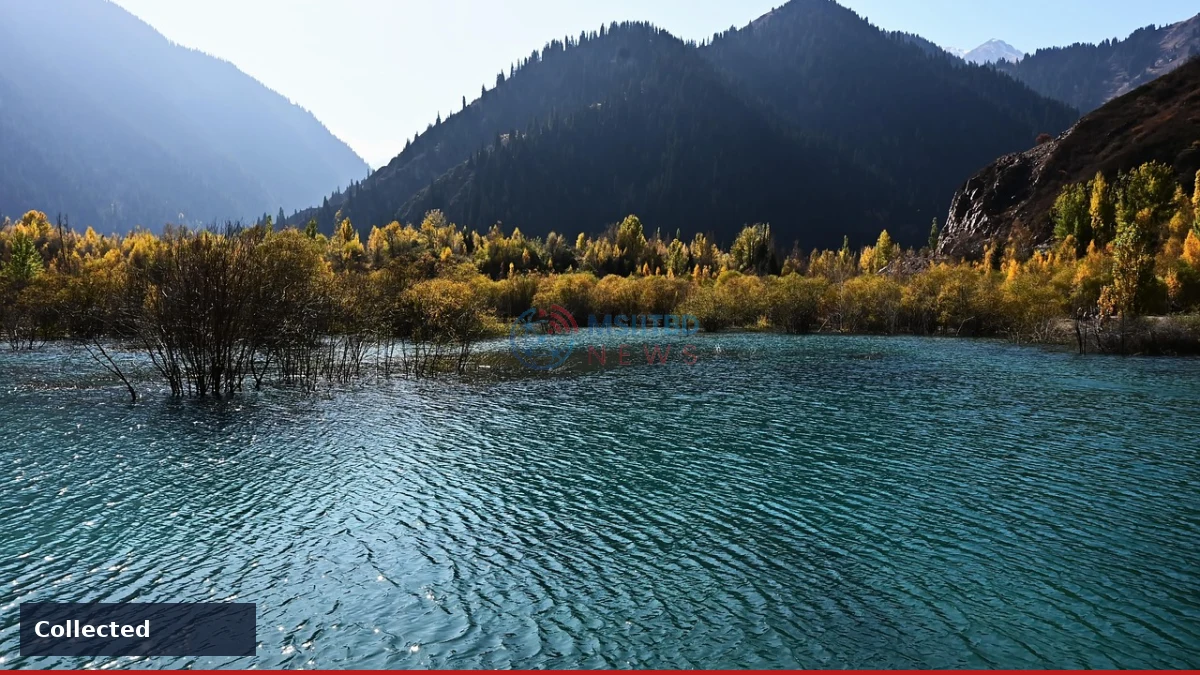 Magnitude 4.0 quake near Lake Pillsbury part of ongoing seismic sequence - accompanying story image