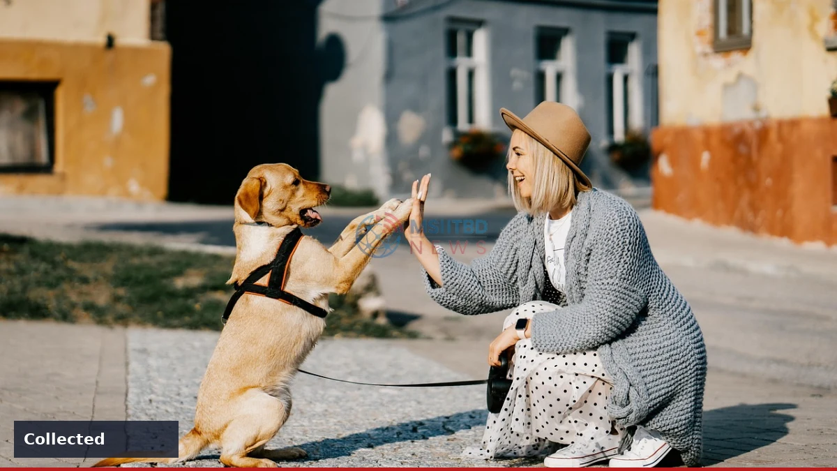 News image related to Billie Eilish Is the Proud New Owner of a Bob