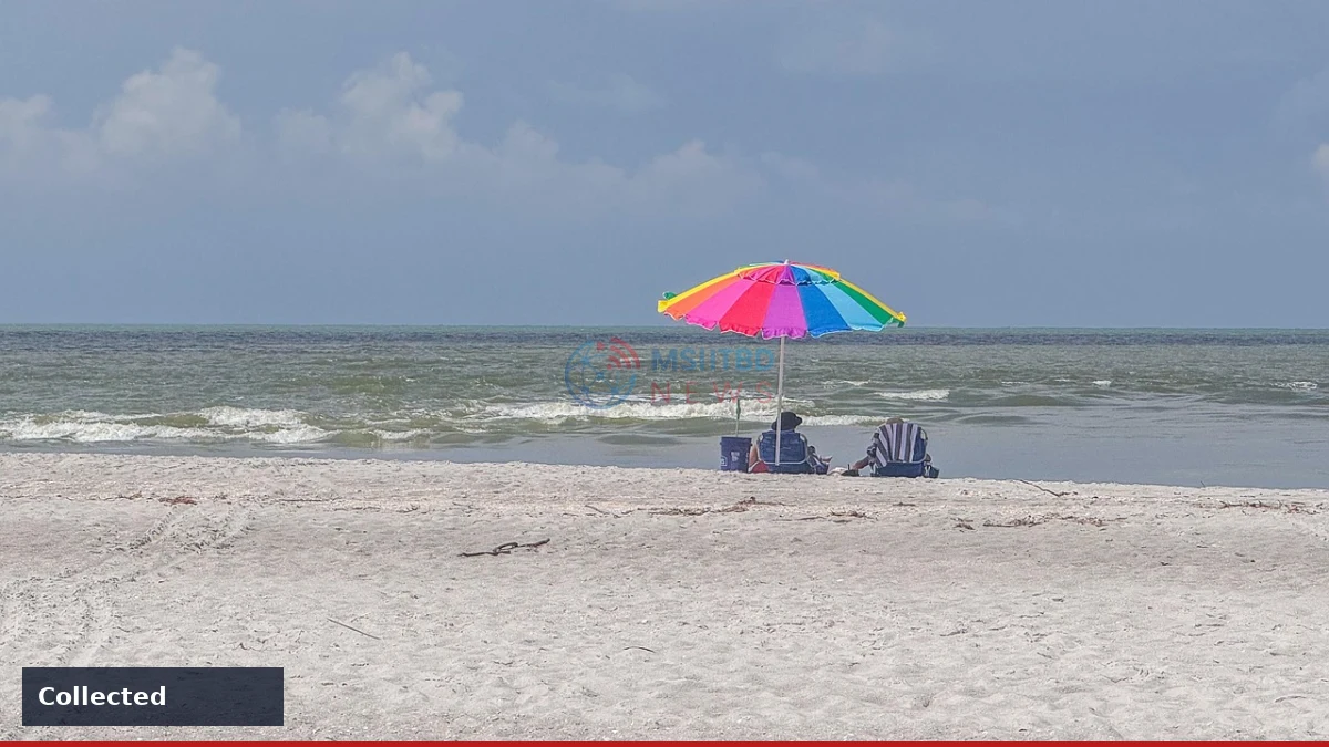 News image related to Investigators travel to Florida seeking new clues in Nancy Guthrie disappearance